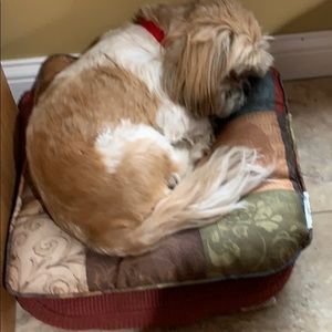 Meet your Posher, Virginia